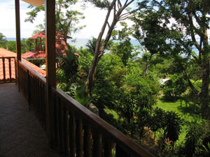Apartamentos Iguanas View