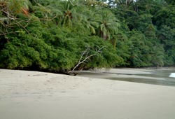 villa teca