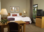  Hampton Inn & Suites