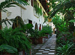 Beach Hotels:  Hotel Canciones del Mar
