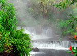  Tabacon Hot Springs Resort