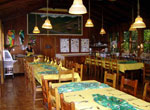 Beach Hotels:  Drake Bay Wilderness Resort
