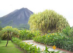 Mountain Hotels:  Monta�a de Fuego Resort