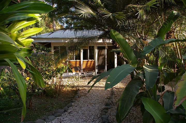 Beach Hotels:  Surf The Place