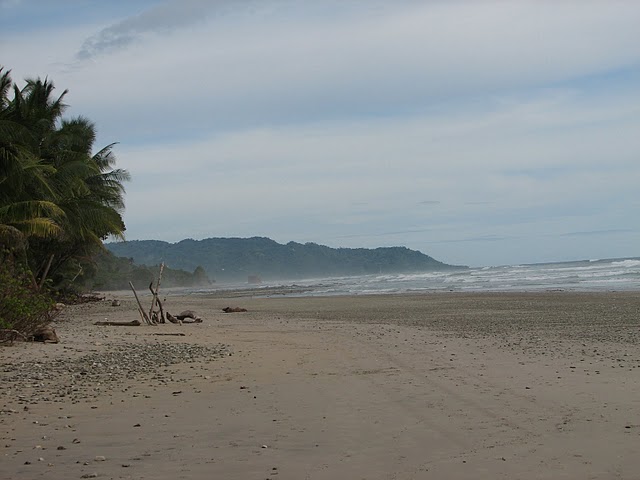 Beach Hotels:  Surf The Place