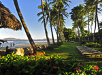  Tamarindo Diria