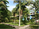 Beach Hotels:  Villas del Caribe