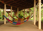  Pachira Lodge