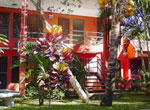 Hotel Brilla Sol Airport