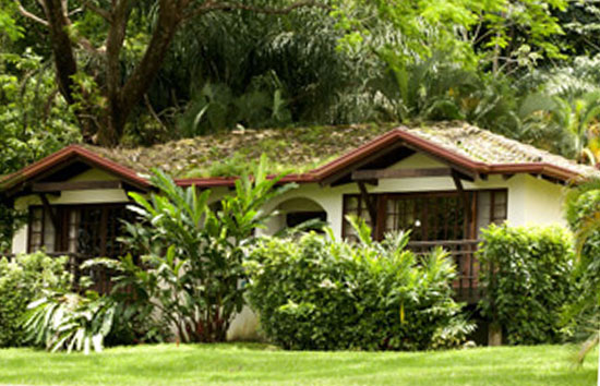 Borinquen Montain