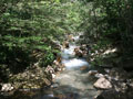 buena vista tour 