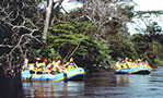 Corobici Nature Float