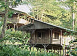Selva Bananito Lodge