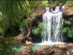 The Springs