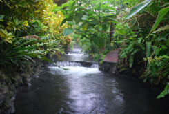 Tabacon Hot Springs