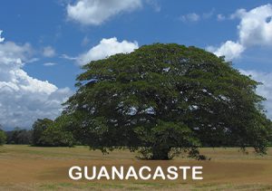 guanacaste-costa-rica