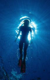 Snorkeling and Scuba Diving in Costa Rica