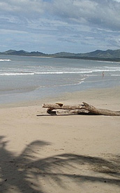 Tamarindo Beach