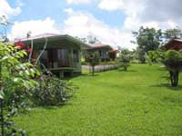 Miradas Arenal Green Area 