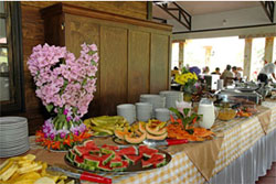 Arenal Lodge Buffet Volcano Lodge