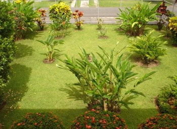 San Bosco Gardens