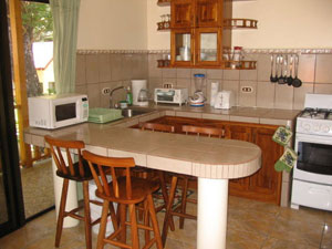 Apartamentos Iguanas Kitchen