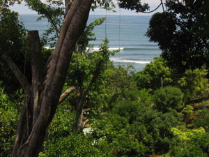 Apartamentos Iguanas Beach View
