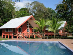Hotel Jungle Lodge 