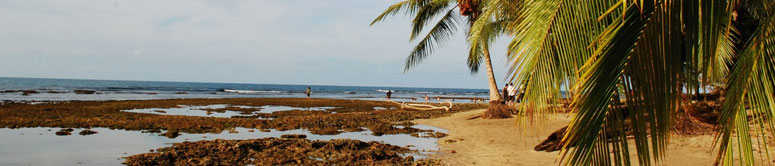 Un vistazo a Puerto Viejo