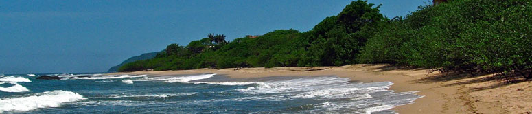 Tamarindo at a glance