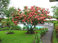 Las Cabañitas Hotel Costa Rica