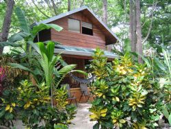 Star Mountain Eco Resort