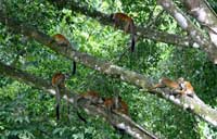 Hotel Rancho Casa Grande