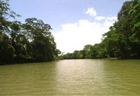 Caño Negro River