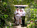coffee tour