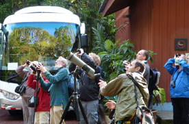 costa rica guides groups 1