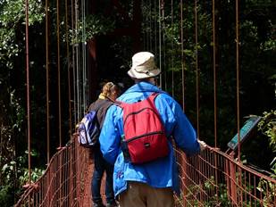 Monteverde