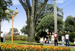 Parque la Merced, San José centro