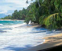 Beach of Costa Rica