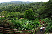 Descripci&oacute;n: http://www.costaricaguides.com/costa_rica_tours/images/tours/gallery_7_04.jpg