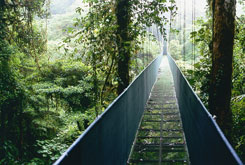 Monteverde Costa Rica