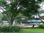 University of Costa Rica