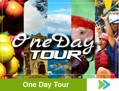 one day tours reviews