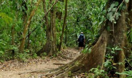 Manuel Antonio National Park Walk Tou