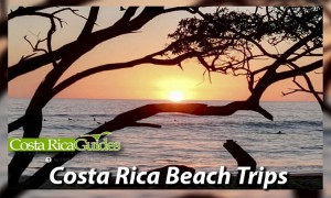 Costa Rica Beach Trips
