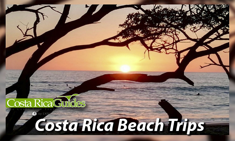 Costa Rica Beach Trips