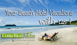 hotels on the beach costa rica