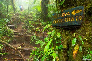 Cerro Chato Hiking Trail