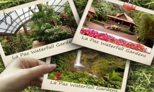 La Paz Waterfall Gardens One Day Tour