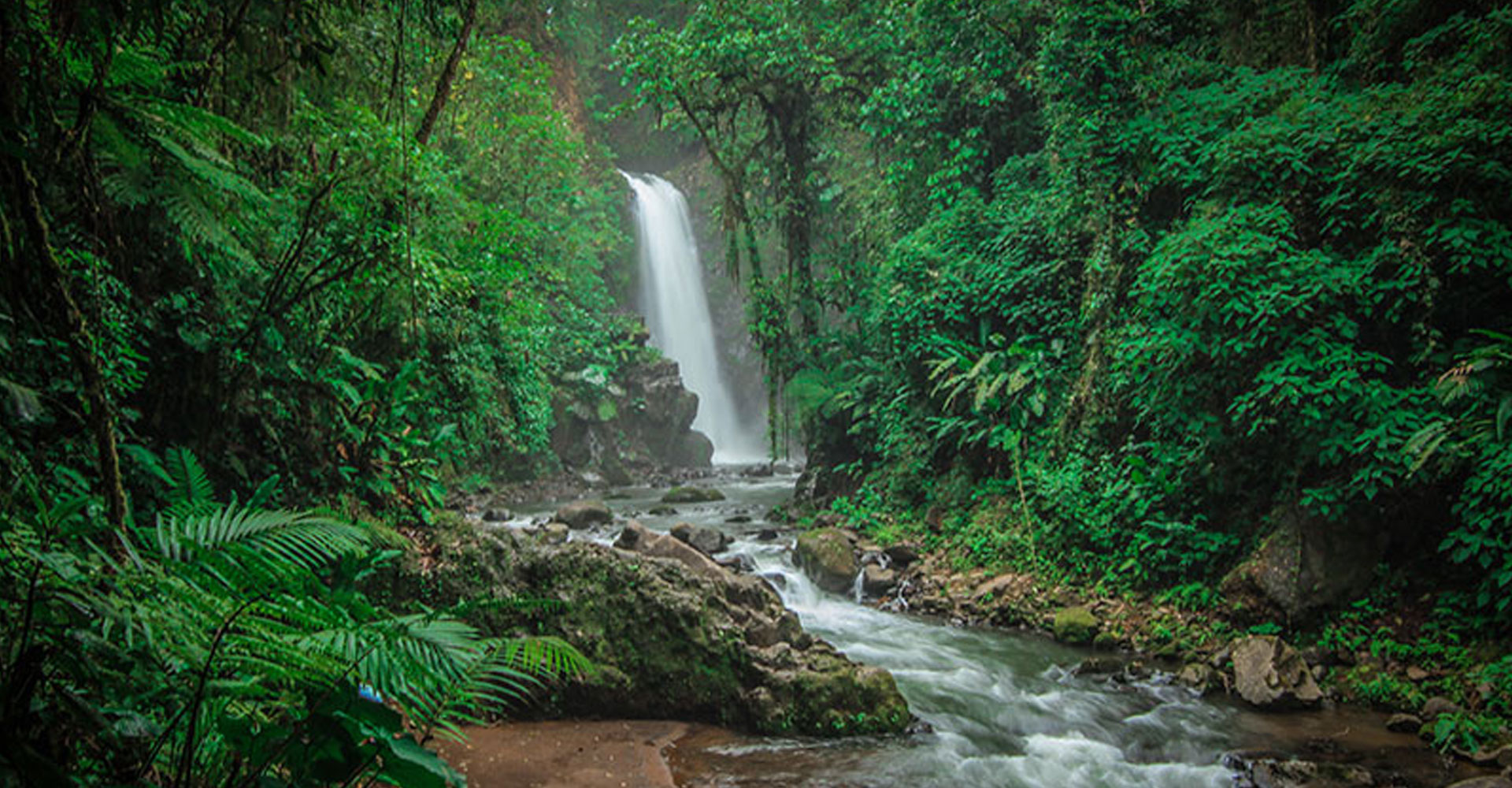 jardinez-catarata-paz-prev